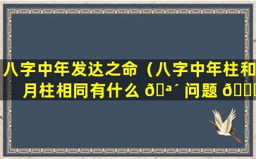 八字中年发达之命（八字中年柱和月柱相同有什么 🪴 问题 🐅 ）